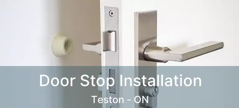 Door Stop Installation Teston - ON