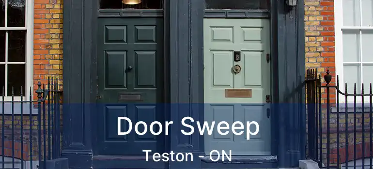  Door Sweep Teston - ON