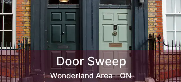  Door Sweep Wonderland Area - ON
