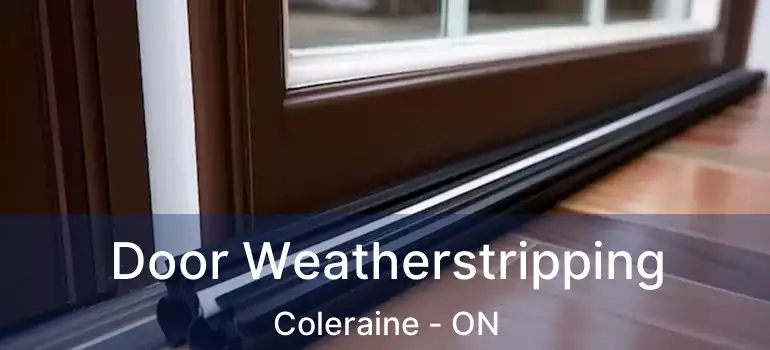 Door Weatherstripping Coleraine - ON