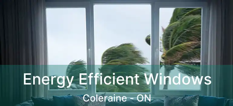 Energy Efficient Windows Coleraine - ON