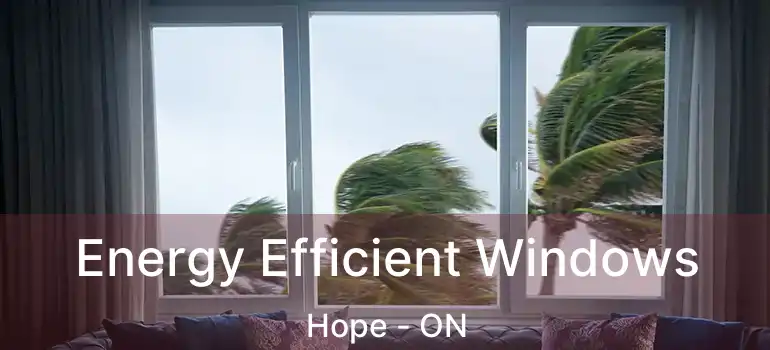  Energy Efficient Windows Hope - ON