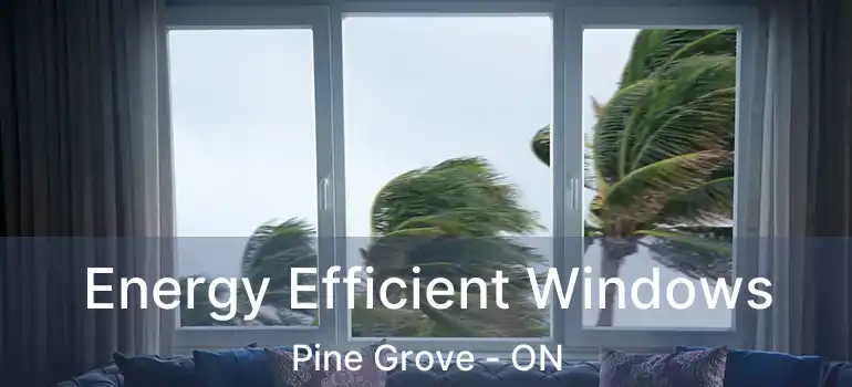 Energy Efficient Windows Pine Grove - ON