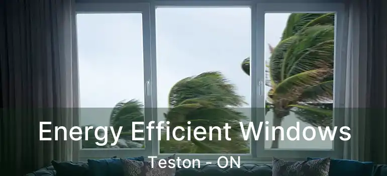 Energy Efficient Windows Teston - ON