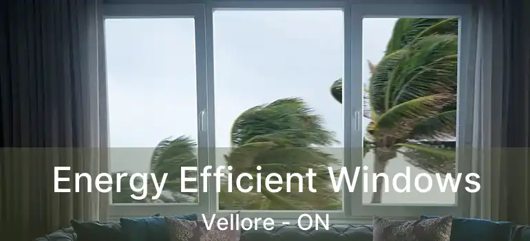  Energy Efficient Windows Vellore - ON