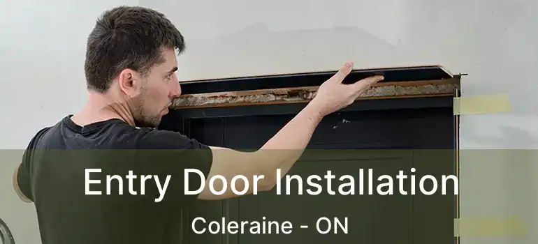  Entry Door Installation Coleraine - ON