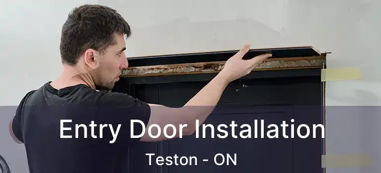 Entry Door Installation Teston - ON