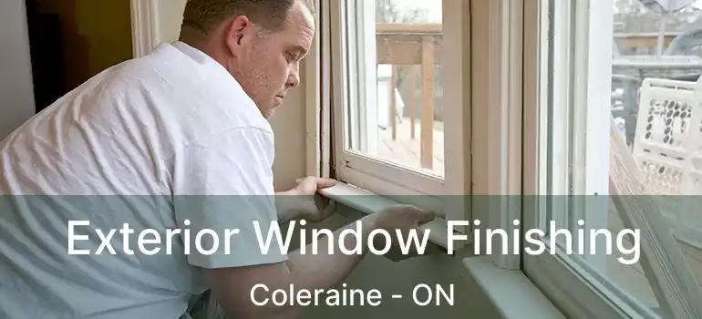 Exterior Window Finishing Coleraine - ON