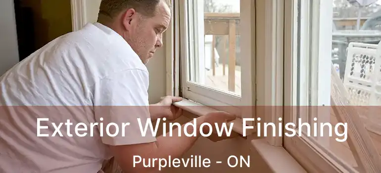  Exterior Window Finishing Purpleville - ON