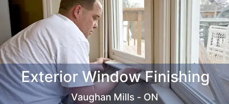  Exterior Window Finishing Vaughan Mills - ON