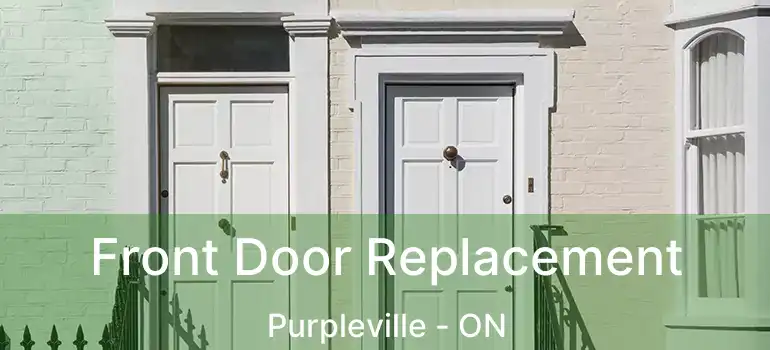  Front Door Replacement Purpleville - ON