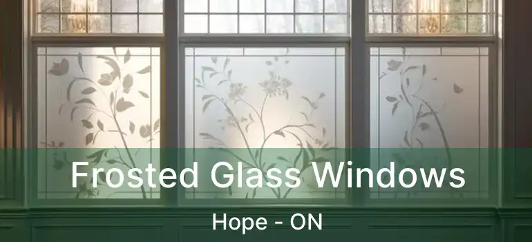 Frosted Glass Windows Hope - ON