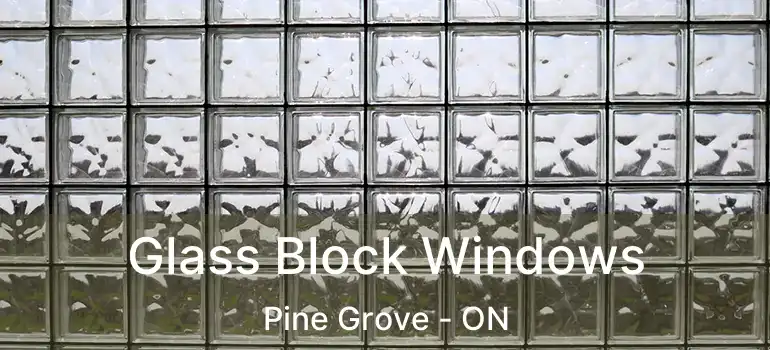  Glass Block Windows Pine Grove - ON