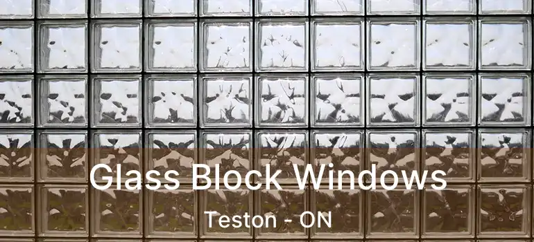  Glass Block Windows Teston - ON