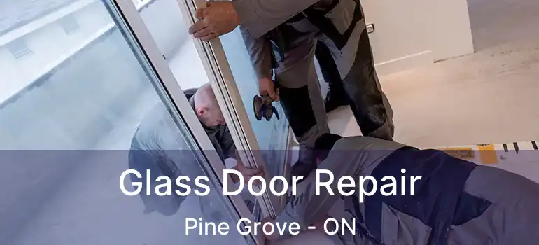 Glass Door Repair Pine Grove - ON