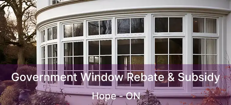  Government Window Rebate & Subsidy Hope - ON