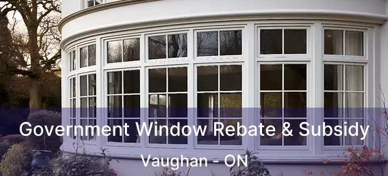  Government Window Rebate & Subsidy Vaughan - ON