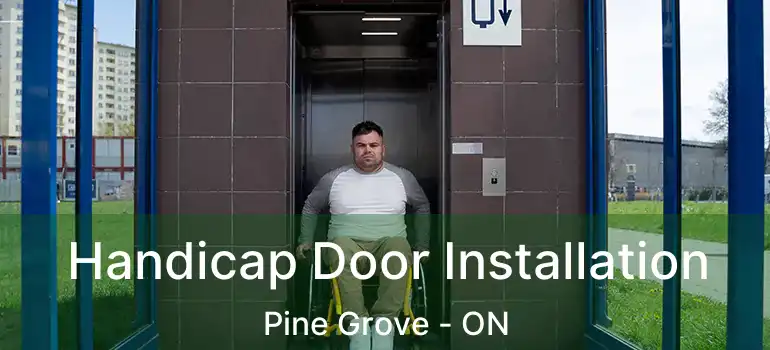  Handicap Door Installation Pine Grove - ON