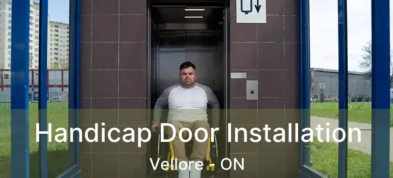  Handicap Door Installation Vellore - ON