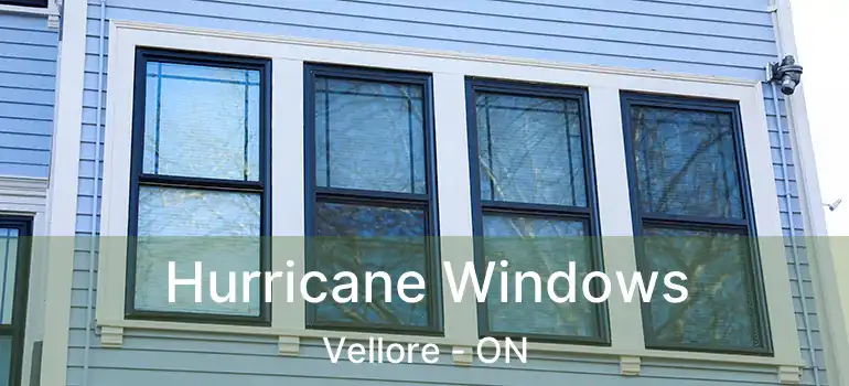  Hurricane Windows Vellore - ON