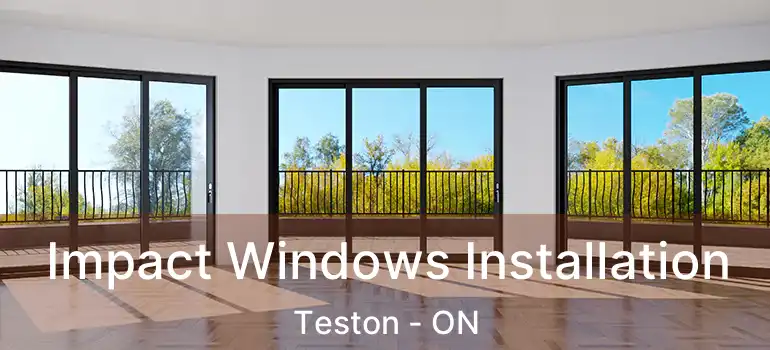 Impact Windows Installation Teston - ON