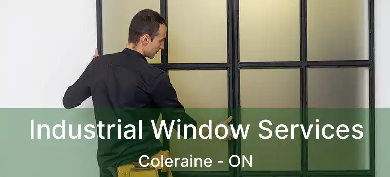  Industrial Window Services Coleraine - ON