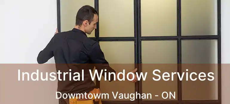  Industrial Window Services Dowmtowm Vaughan - ON