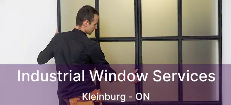 Industrial Window Services Kleinburg - ON