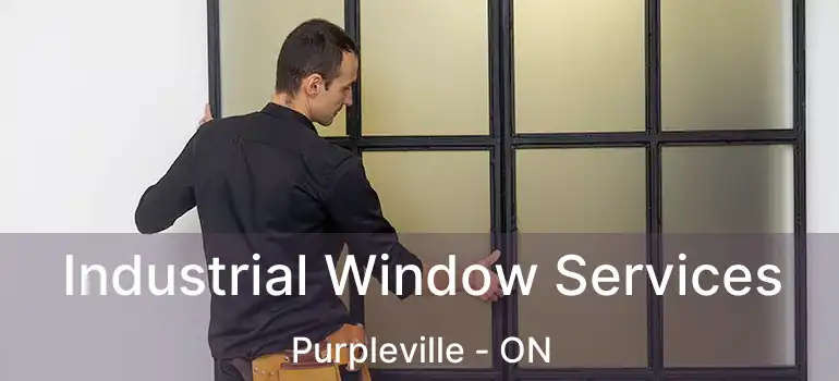  Industrial Window Services Purpleville - ON