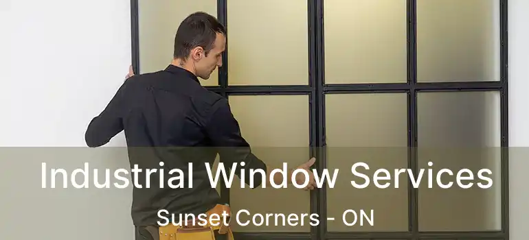 Industrial Window Services Sunset Corners - ON