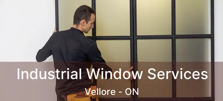 Industrial Window Services Vellore - ON