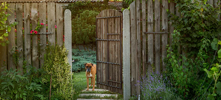 Winter Garden Garage Door Repair in Vaughan,Ontario