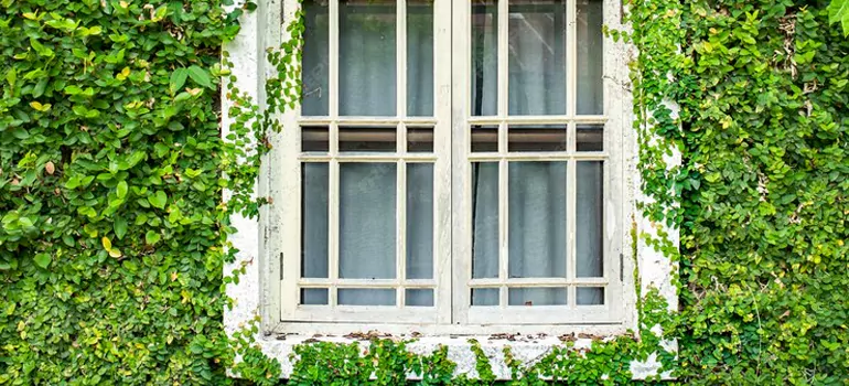 Garden Window Repair Near Me in Vaughan, ON