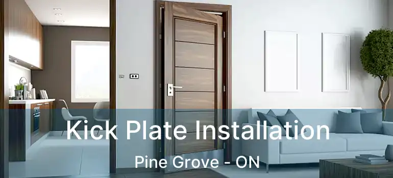 Kick Plate Installation Pine Grove - ON