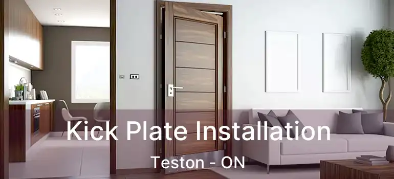 Kick Plate Installation Teston - ON