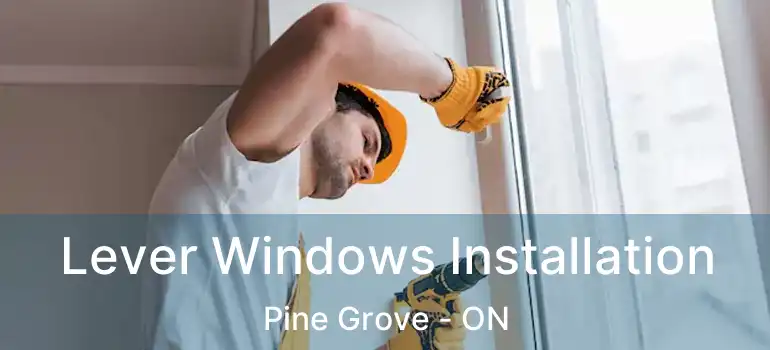 Lever Windows Installation Pine Grove - ON
