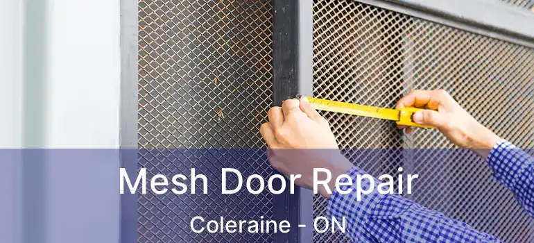  Mesh Door Repair Coleraine - ON