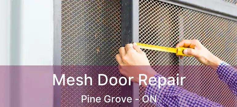 Mesh Door Repair Pine Grove - ON