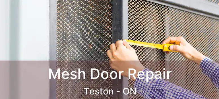 Mesh Door Repair Teston - ON