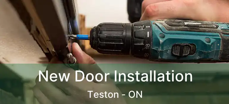  New Door Installation Teston - ON