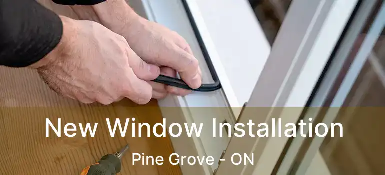  New Window Installation Pine Grove - ON