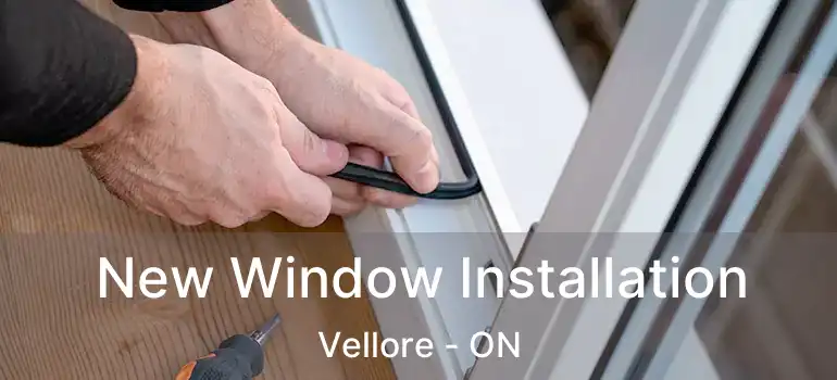  New Window Installation Vellore - ON