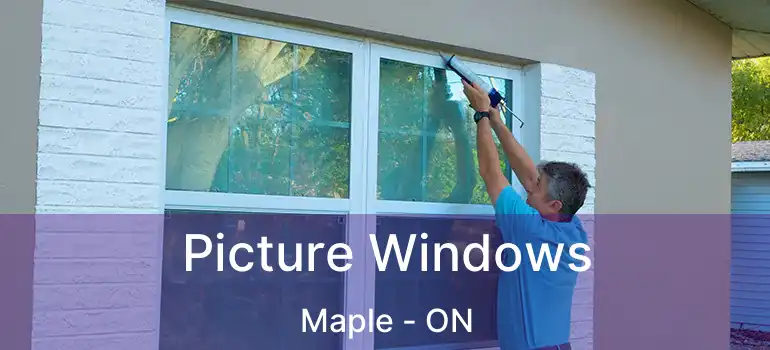 Picture Windows Maple - ON
