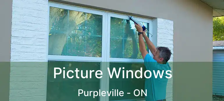  Picture Windows Purpleville - ON