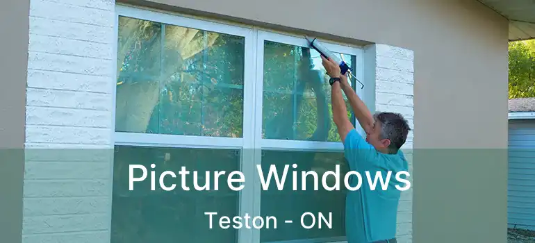 Picture Windows Teston - ON