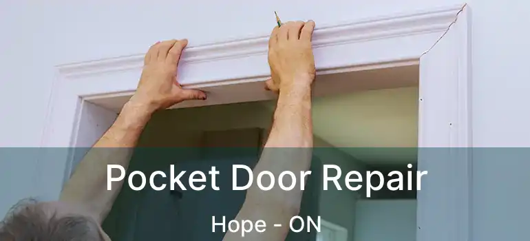Pocket Door Repair Hope - ON