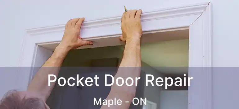  Pocket Door Repair Maple - ON