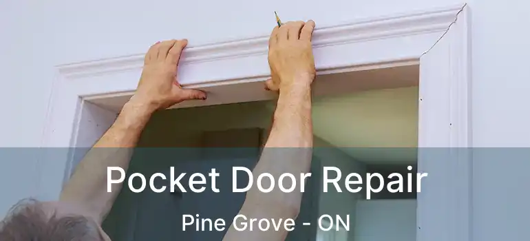  Pocket Door Repair Pine Grove - ON