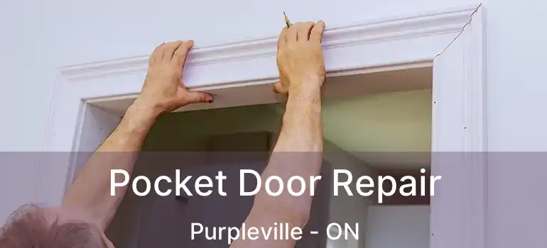 Pocket Door Repair Purpleville - ON