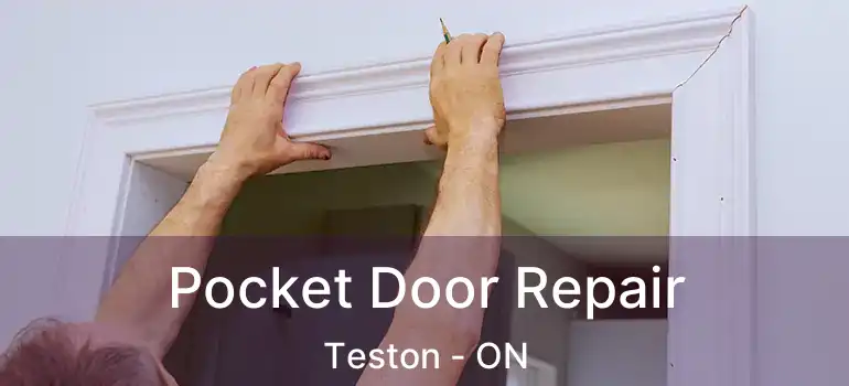 Pocket Door Repair Teston - ON